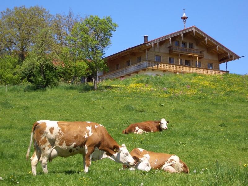 Huberbauernhof Ferienwohnungen Пидинг Екстериор снимка